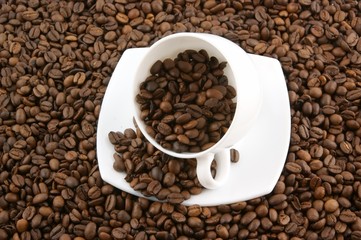 White cup filled up with coffee beans