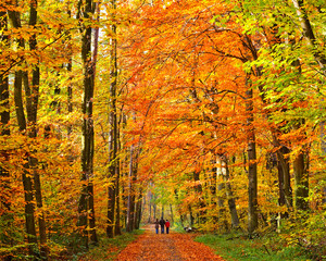 Walking in autumn park, Frankfurt, 2008
