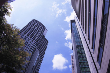 Fototapeta premium 高層ビル