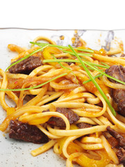 Japanese Cuisine - Noodles with Meat