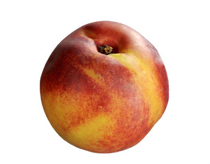 Nectarine over white