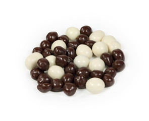 Hazel nut in chocolate