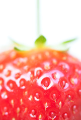 strawberry