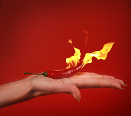 red burning hot chili pepper