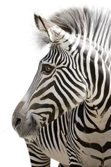 Foto op Plexiglas Zebra 001 © Werner Dreblow