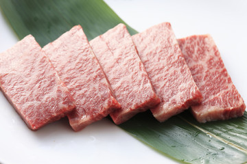 生肉