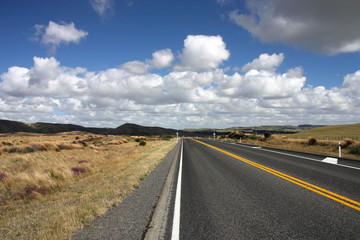 Fototapeta na wymiar Nowa Zelandia - prosta droga w Waikato