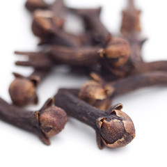 Nahaufnahme von mehreren Gewürznelken auf weiß