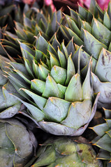 Green artichokes for sale at street market