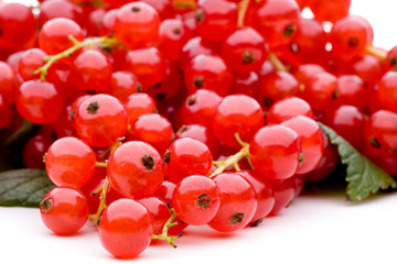 Viele frische Johannisbeeren