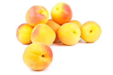 Fresh apricots