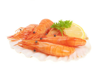 Prawns on a scallop shell