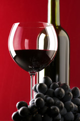 Red wine and grape