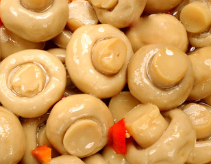 marinated champignon