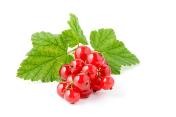 Red Currant.  isolated on White background