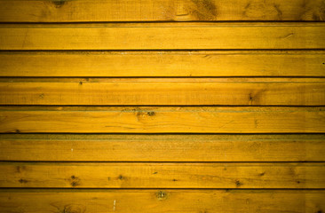 Fototapeta premium Wood Texture