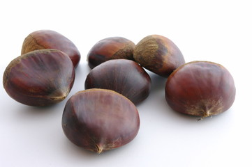 いっぱい栗がある～