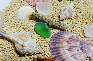 真ん中サファイヤ