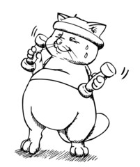 Katze, Kater, Fit, Sport, Training, Hanteln