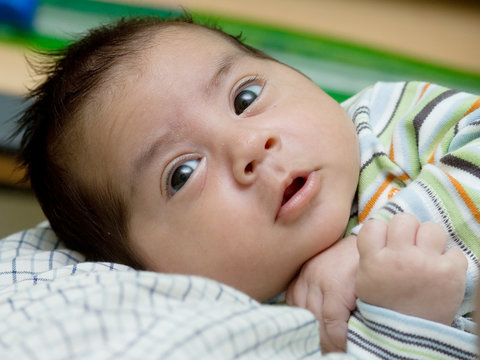 neonato