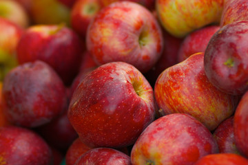 A pile of red braeburn apples