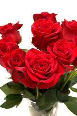 Bunch of Red Roses