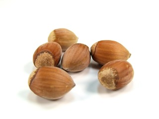 hazelnut