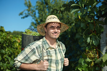 Fototapeta premium Vintager wearing butt full of grapes