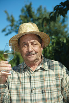 Senior winemaker tasting wine