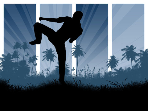 Martial Arts Fighter