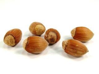 Hazelnut