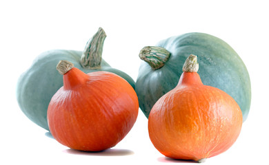 Collection of Pumpkins.