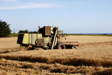 Obraz premium moissonneuse-batteuse_4909