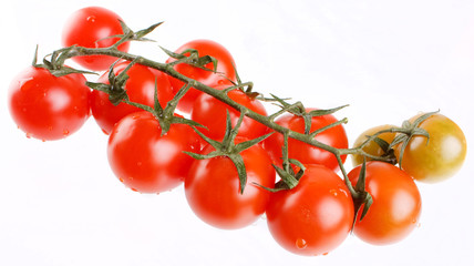 Cherry Berry Tomatoes.