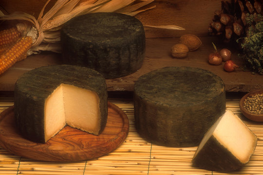 formaggio stagionato di bufala