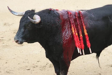 Printed roller blinds Bullfighting bullfight