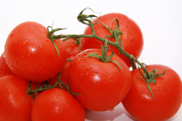bright tomato
