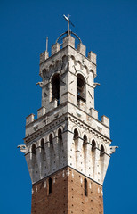 Turm in Siena Toskana Italien