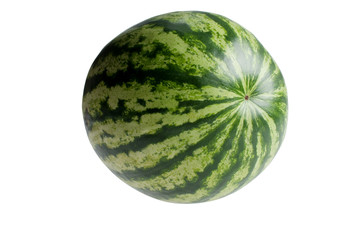 watermelon close up isolated