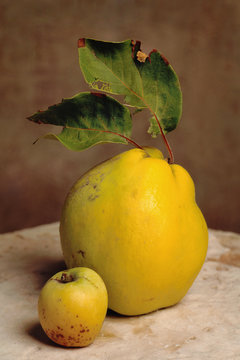 meletta perone