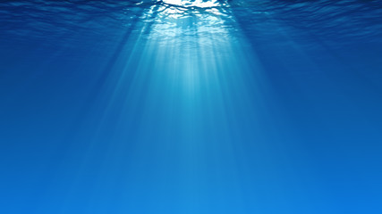 Fototapeta premium Underwater scene