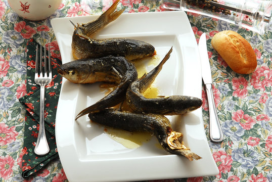 Brustico - Secondi di pesce - Ricette della Toscana
