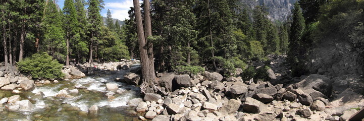 Fototapeta premium river closeup in yosemite park