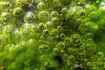 Luftblasen im Wasser