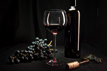 Wein und Trauben