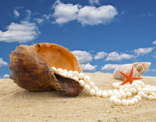 Cockleshell with a pearl necklace on seacoast