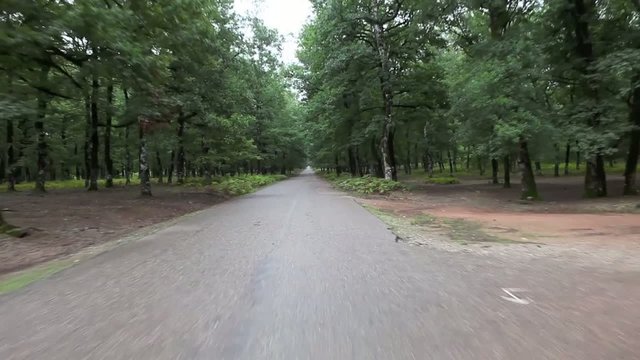 Fahrt durch den Foloi-Wald (Griechenland)