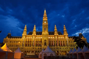 Tafelkleed Town hall in Vienna at night, Austria © sborisov