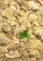 Mushrooms 2