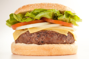 Fresh homemade Beef tomato cheese onion burger isolated